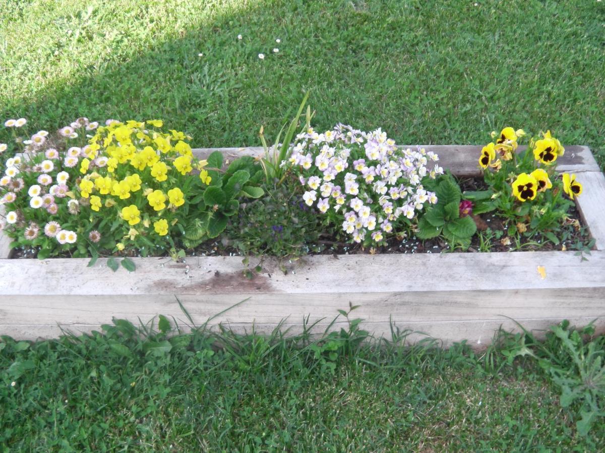 Bed and Breakfast Aux Vieux Fours Noaillac Екстер'єр фото